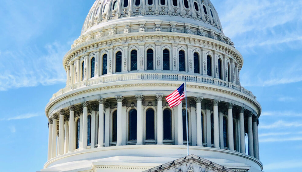 6 1