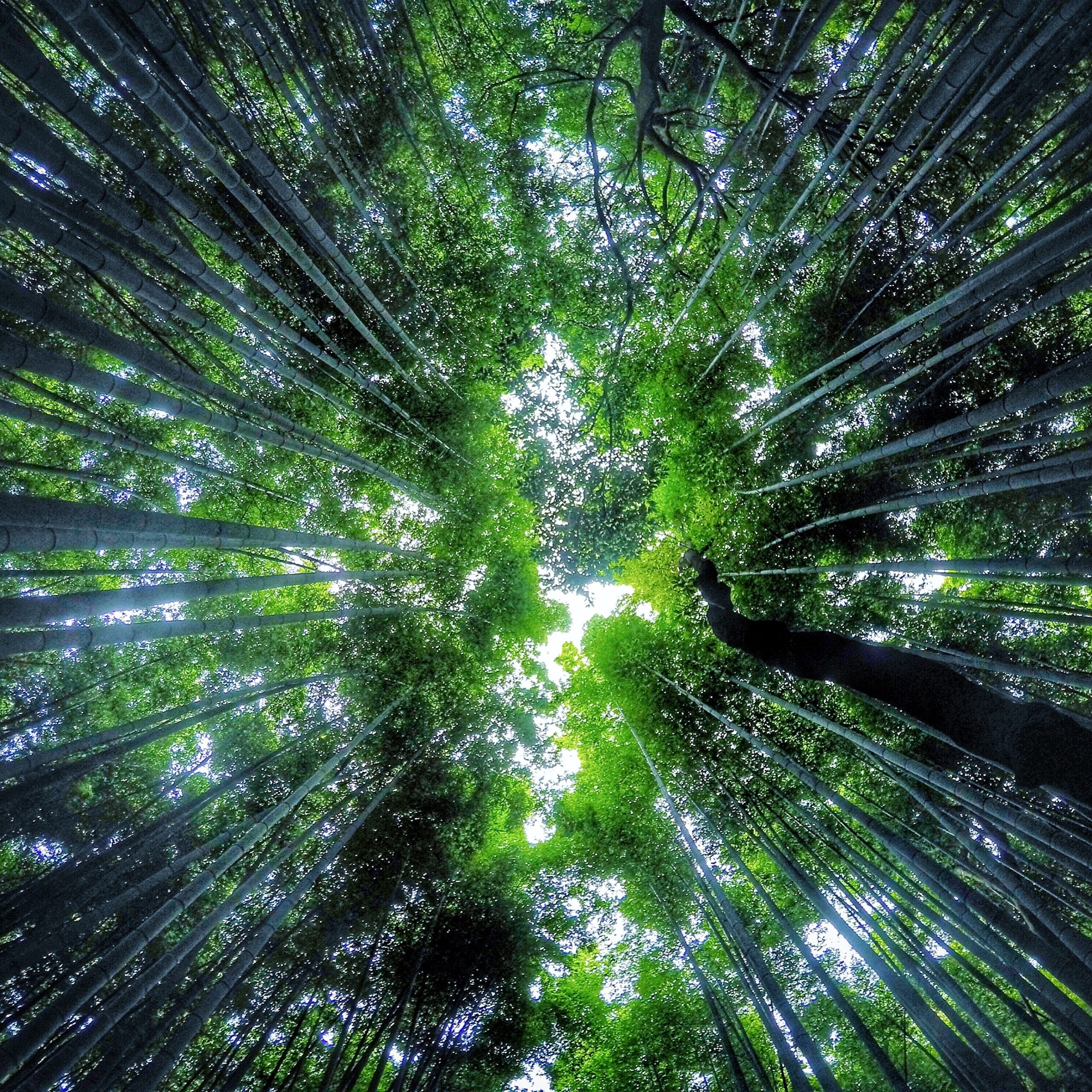 Shiga Prefecture Air Quality