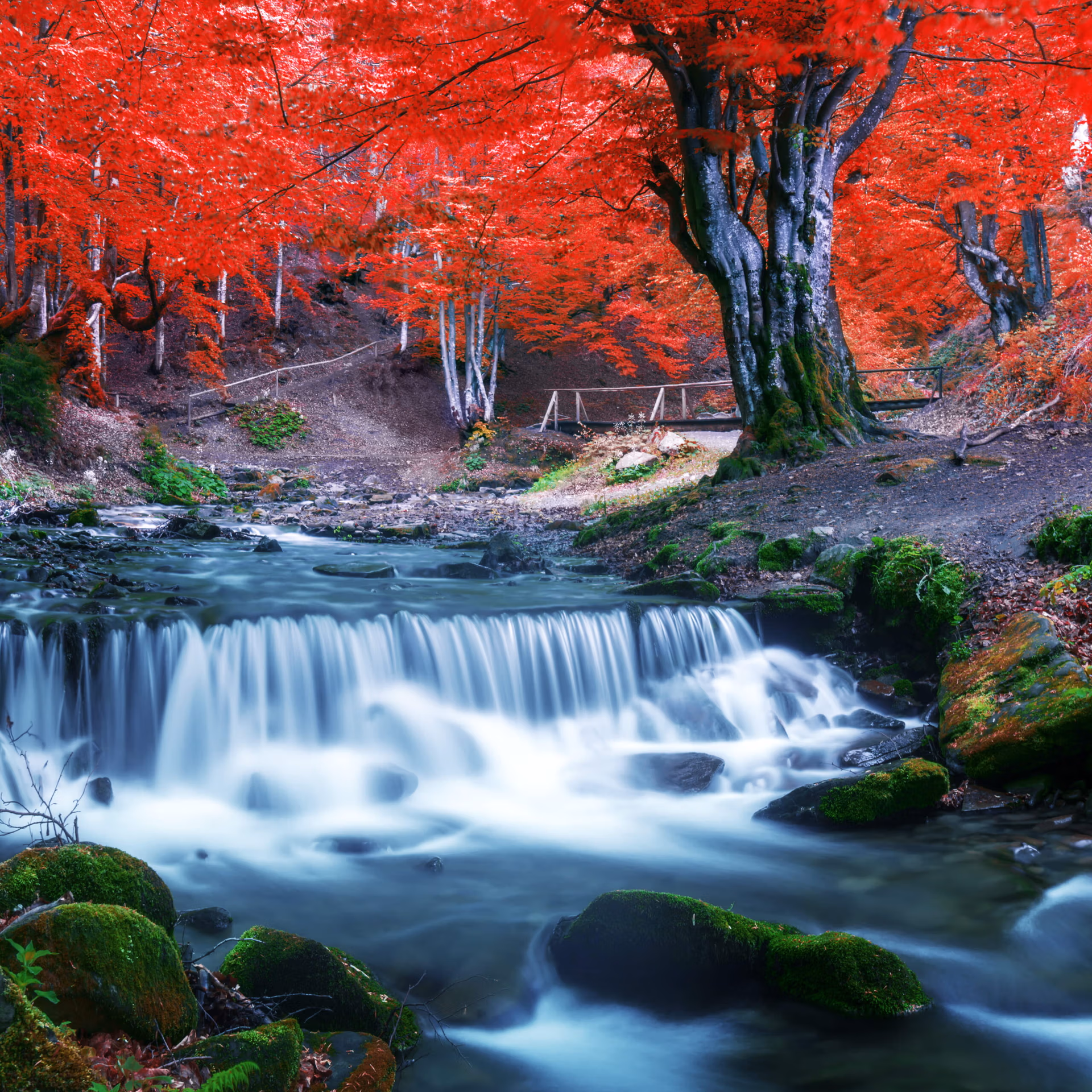 12 Best National Parks in Japan
