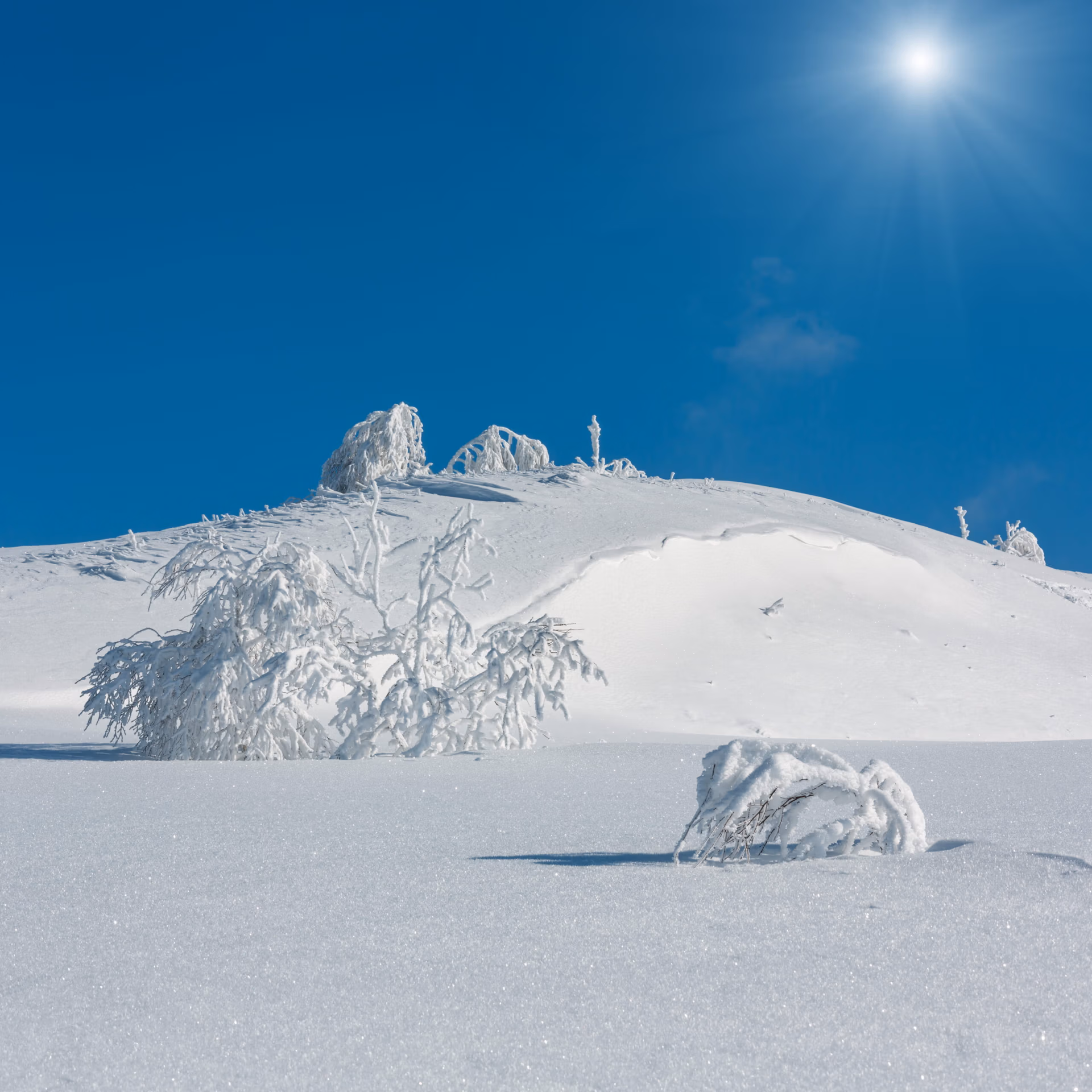 20 Amazing Things to Do in Hokkaido